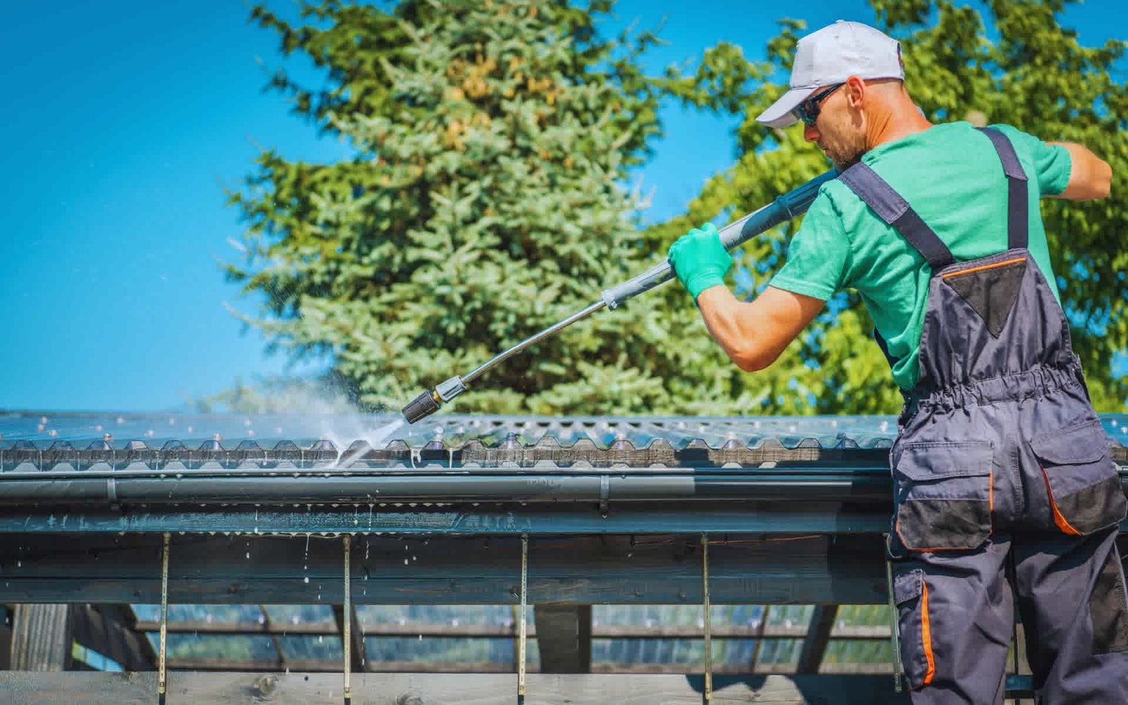 Roof Cleaning